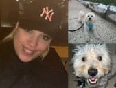 Newark Woman Struck Dead By Vehicle While Walking Dog: Prosecutor