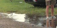 Juneau Co. Fair continues despite heavy rain