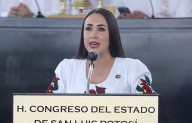 Proponen exhortar a los ayuntamientos para que combatan la proliferación de mosquitos