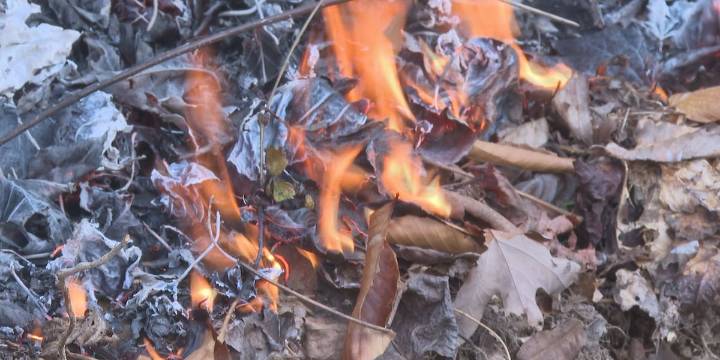 What to know ahead of Fall Forest Fire Season