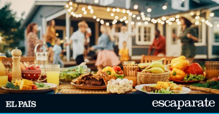 El ventilador que necesitas para ahuyentar moscas y mosquitos en tus comidas al aire libre