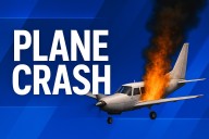 Pilot and Dog Killed in Georgia Plane Crash