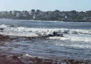 Tropical Storms Juliette and Fernand churn over open waters in 2 oceans