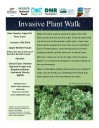 Invasive Plant Walk scheduled for August 26