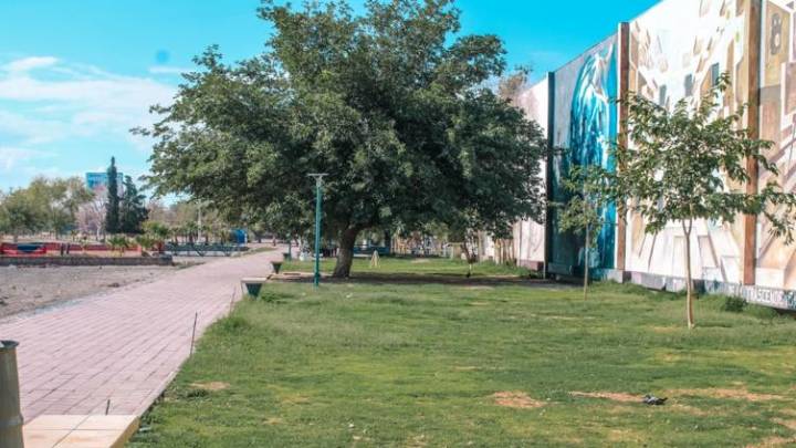 En proceso rehablitación del pasto Bermuda en Parque Central
