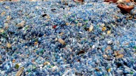 Here’s why the UN is negotiating a treaty to end plastic pollution