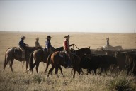 Is ‘Yellowstone’ Spinoff ‘6666’ Still Happening? Delays Explained