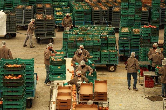 Economía mexicana se estanca en julio tras ligero crecimiento en junio: INEGI
