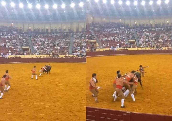 VIDEO MUY FUERTE: Joven torero muere corneado por un toro en plena corrida; sus compañeros trataron de salvarlo