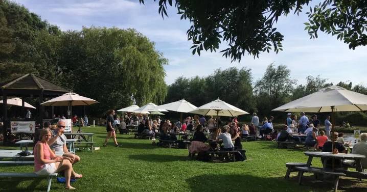 Fancy a pint? Voters choose the best beer garden in and around Cambridge