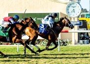 Gonzalez has right Velocity to win the Grade I Del Mar Oaks
