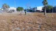 Imparable trabajo de limpieza y embellecimiento del Gobierno de Reynosa