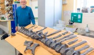 Inglaterra: Descubren un nuevo dinosaurio en la Isla de Wight