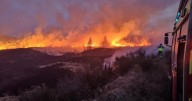 Dumfries and Galloway at 'very high' risk of wildfire as hot weather to continue