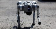 Estado de México adquirió perro robot con IA que conciencia a ciudadanos sobre el maltrato animal