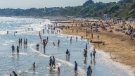 Record numbers in denial about British seaside