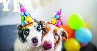 Column: Grateful to celebrate milestone birthday after scare