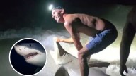 Pescador sufre ataque de tiburón que acababa de cazar; presumía su logro a la orilla del mar