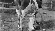 Mennonite Man Wins Award for 'Most Submissive Wife'