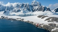 Turismo en la Antártida ya está generando contaminación en una cantidad diez veces mayor que hace 40 años, según estudio