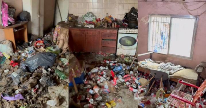Video | Allanaron la casa de un acumulador de basura en Neuquén: rescataron ocho animales de la vivienda