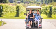 TASTE OF TEA Food & Wine Fest winds down Sunday