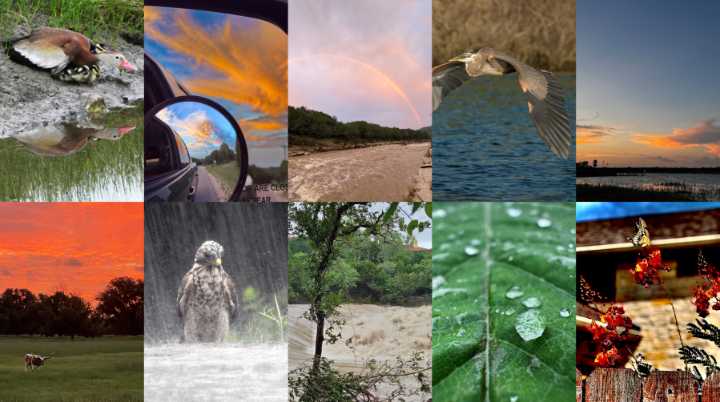 Photo of the Month: Help us choose the best viewer photo of July 2025