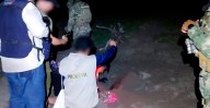 Profepa protege tortugas marinas en Lázaro Cárdenas; recupera nidos saqueados