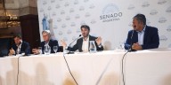 Las provincias de la Patagonia renuevan 9 bancas en el Senado y 12 en Diputados: el rol de los gobernadores