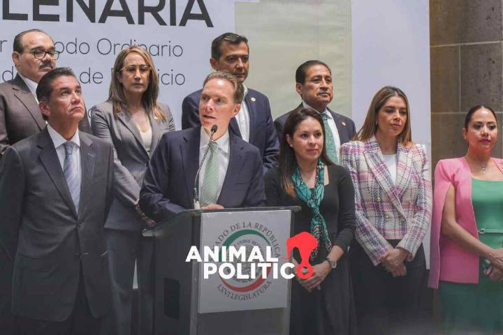 Partido Verde condiciona reducción de dinero a partidos sólo si el reparto es parejo
