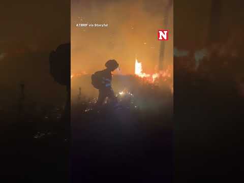 Deadly Wildfires Rage Across Parts Of Spain