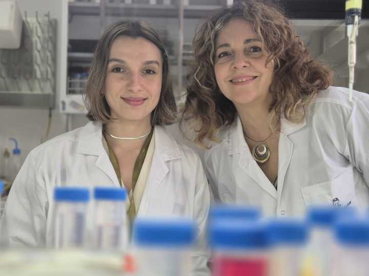 Cáncer: científicos argentinos diseñan una molécula que podría aprovecharse para mejorar la quimioterapia