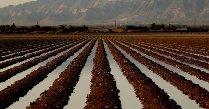 Letters to the Editor: This reader had a crop-picking job as a teenager. He lasted only a week