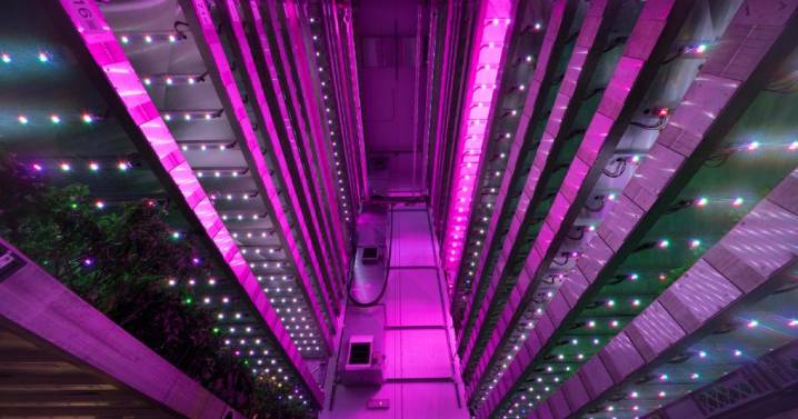 Firms to create vertical farms to tackle food insecurity