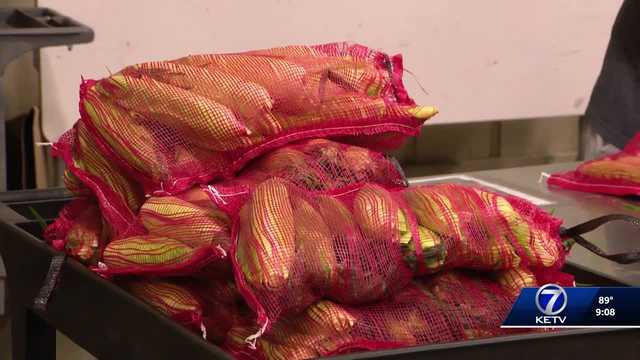 Farmer, retired priest work to end hunger in community by donating to food bank