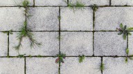 Say Goodbye To Weeds Growing Between Pavers And Cracks With One Simple Fix