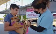 Se acercan servicios veterinarios en la Entidad