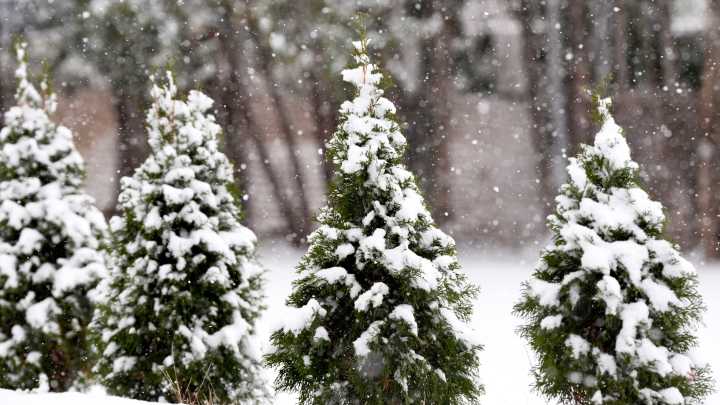 Old Farmer's Almanac releases winter predictions: mild, snow bursts