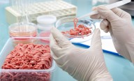 Los CDC reducen rastreo de causantes de infecciones por intoxicación alimentaria a solo dos agentes patógenos