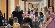 Nelson County Schools see improvement in 2024