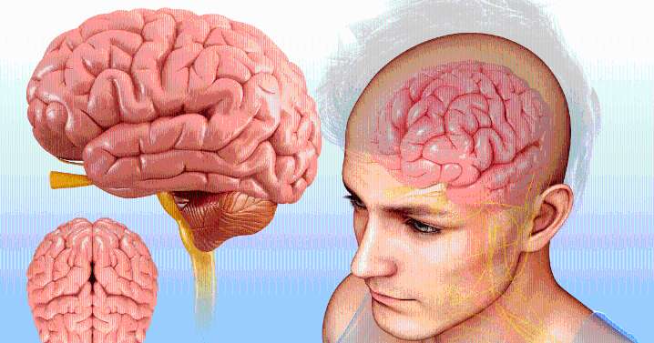 Científicos logran "leer la mente" en un impactante experimento con cerebros humanos