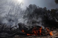 Los bomberos avanzan en el control del incendio en Carcastillo, Navarra, cuya causa habría sido "una acción humana"