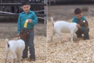5-Year-Old Boy’s Reaction to Landing 4th Place in Goat Show Goes Viral