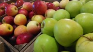 Farmers markets see boost as recalls, prices push shoppers local