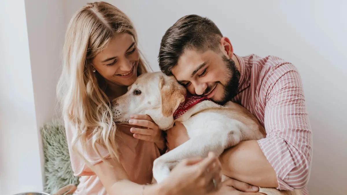 ¿Tu perro lo ama? Evita estas acciones que tu mascota odia, pero no lo puede decir