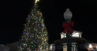 Rehoboth Beach seeks community Christmas tree donation