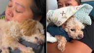 Maryland Dog Was Scheduled For Euthanasia, Until A Beautiful Twist Changed Everything