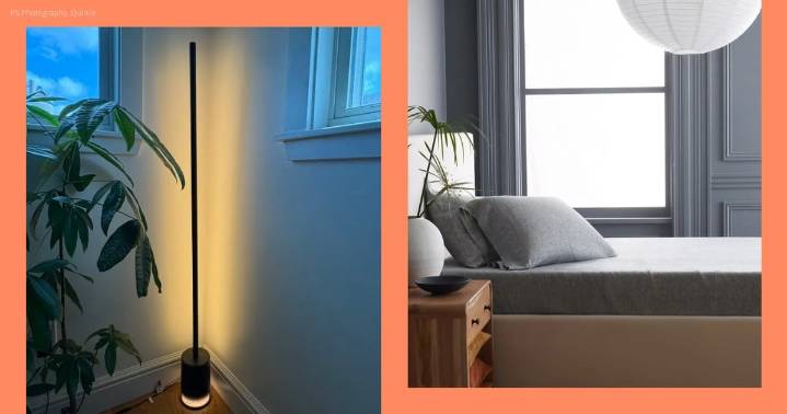 Dorm Room Decor and Essentials For Guys