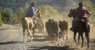 Arrieros de Antuco y San Fabián quedan finalistas en premio mundial de montañismo por impulsar el turismo cultural y natural