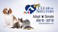 Here are the Connecticut shelters participating in Clear the Shelters